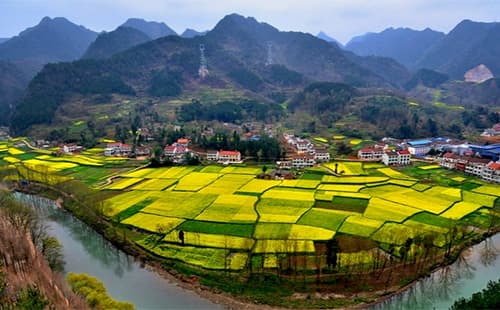 汉中油菜花最佳观赏时间2025