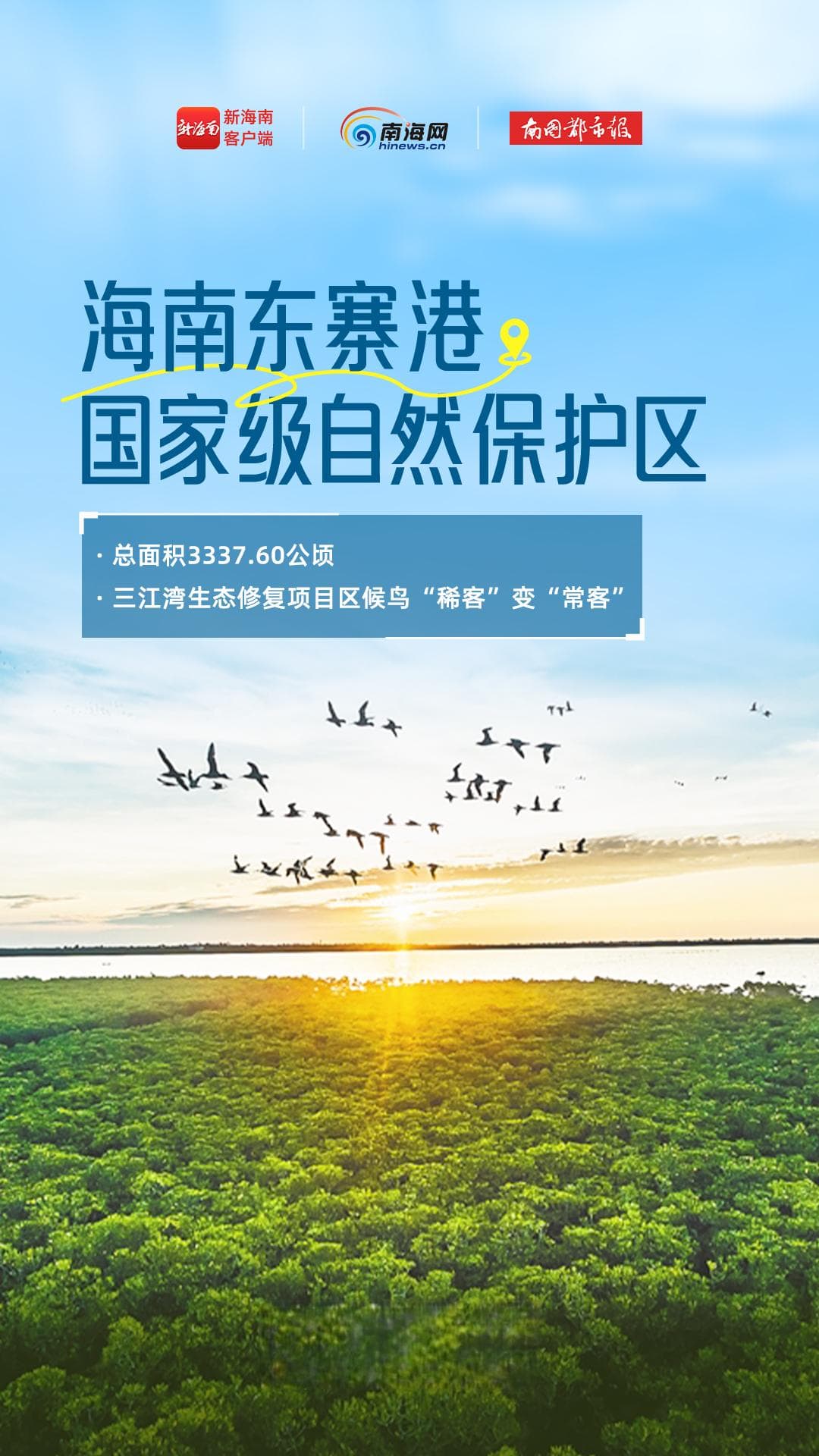 世界湿地日丨万物生灵，一起探寻海南这些湿地公园