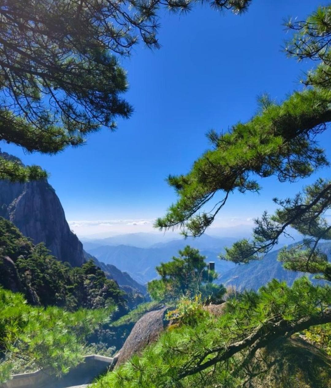 黄山风景区：亲子游的绝佳去处