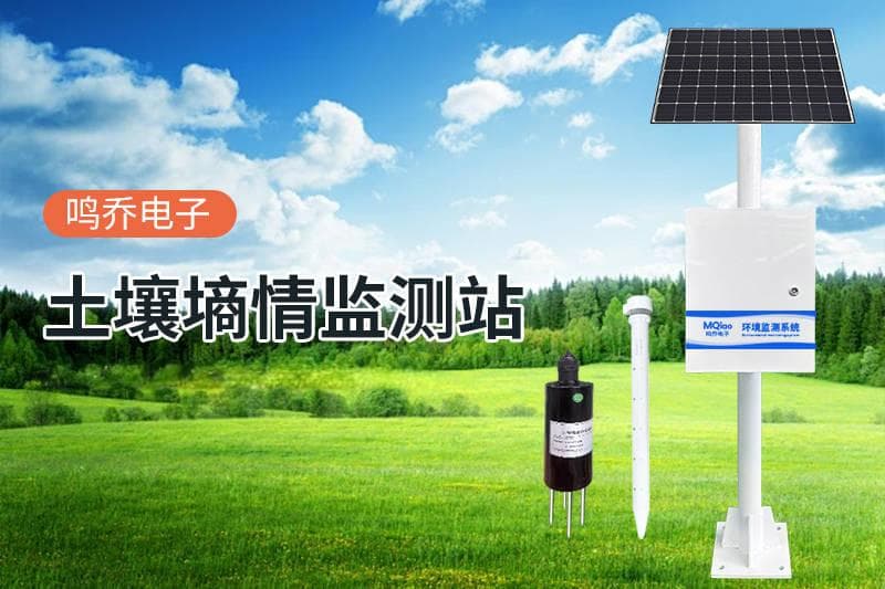 土壤温湿度监测系统：现代农业的得力助手