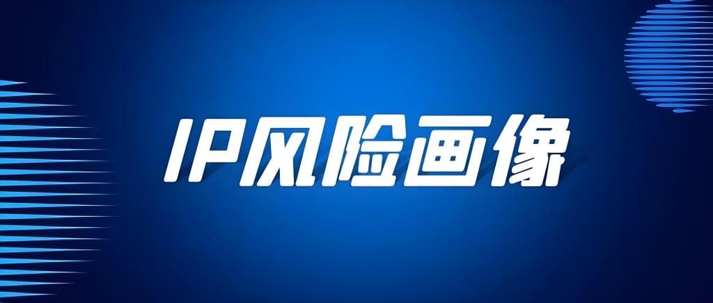 IP风险度与检测方法的深度解析