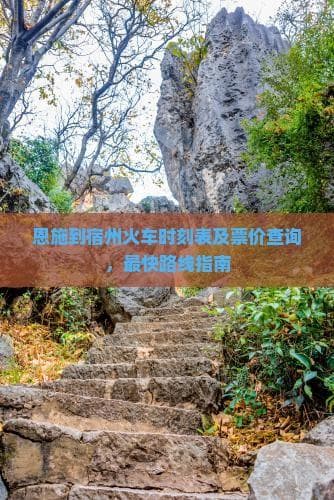 恩施至宿州：武汉中转高铁，票价约260元