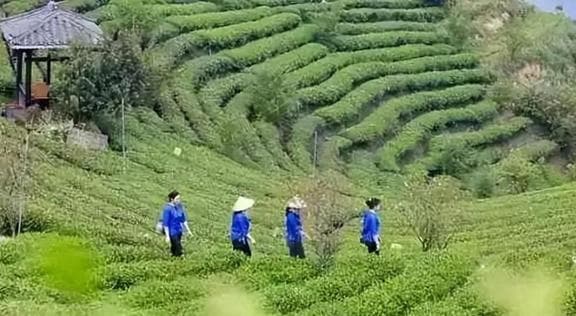 广西柳州八大古村古镇：岭南山水间的民族风情