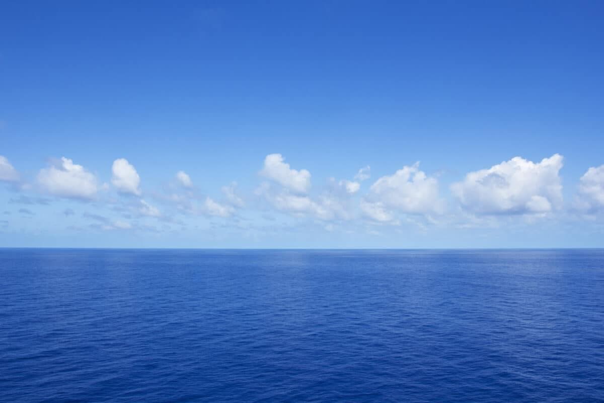 深海奇观：非凡的深海适应能力