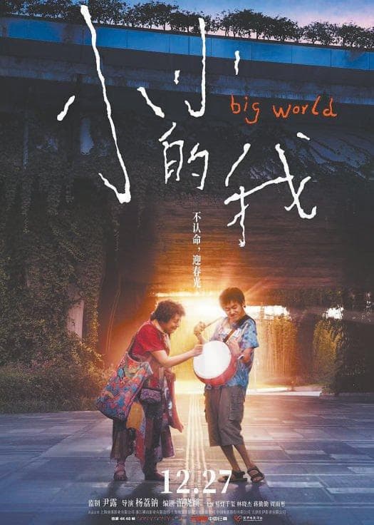 《小小的我》票房惊艳口碑分化
