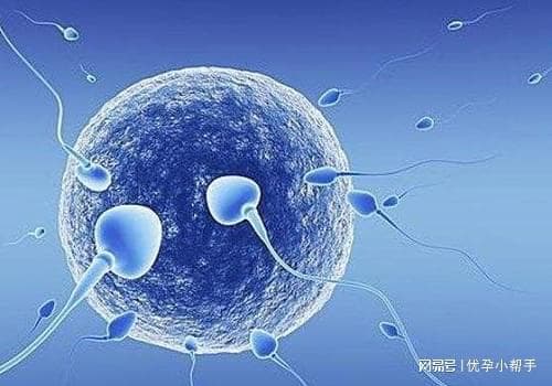 备孕必做！女性生育力评估“三件套”
