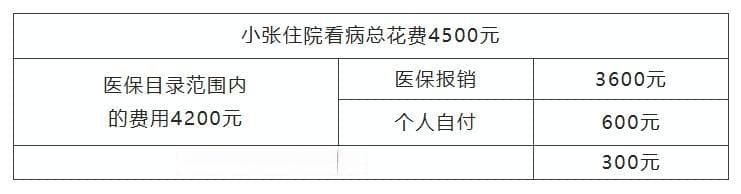 医保支付中的“统筹支付”“个人自付”和“个人自费”有何区别？