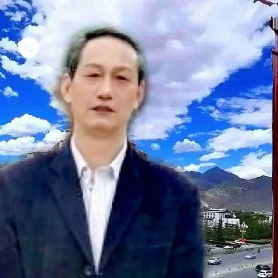 早春里的玉兰花
