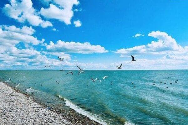 中国十大淡水湖排行：从鄱阳湖到高邮湖