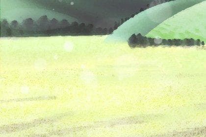 足球队命名指南：如何起一个霸气又独特的队名