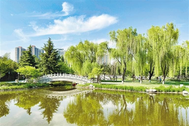 “公园20分钟效应”为何走红？