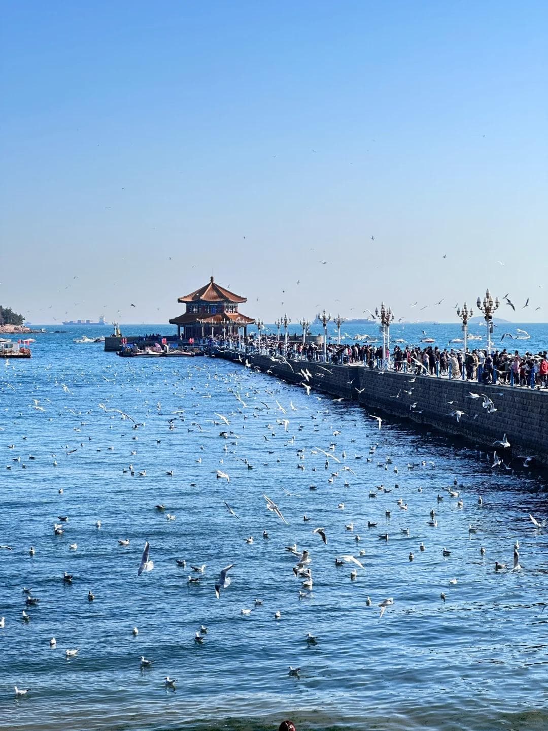 青岛，不只有大海！这6个人少好玩的地方景点，带你玩转海滨风情