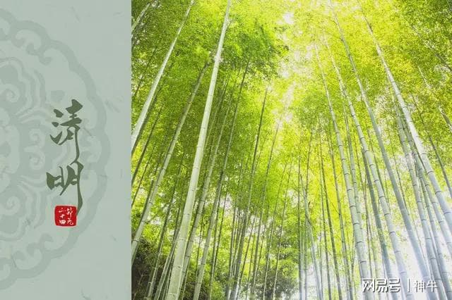 清明扫墓，除了酉时不扫墓外，还有4个禁忌要牢记