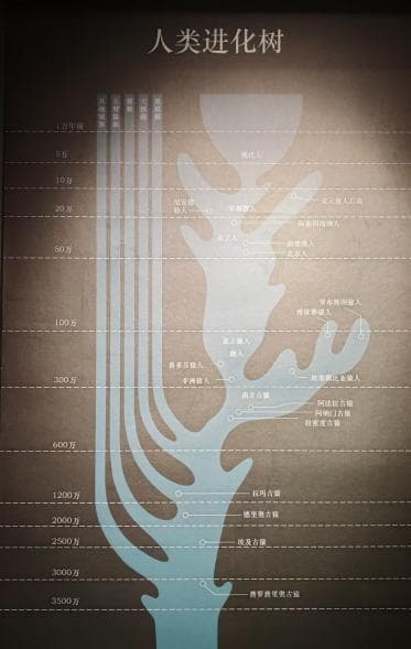 资阳蒙溪河史前文化遗址群或将改写中华文明史