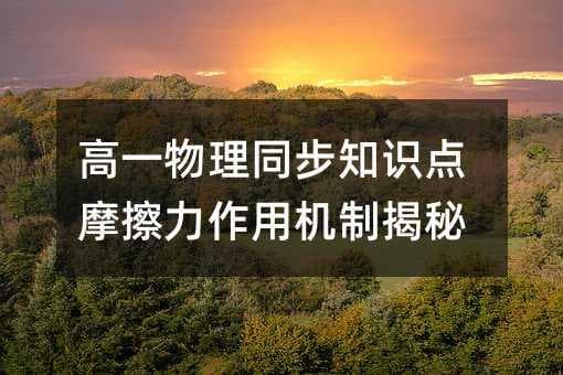 高一物理同步知识点摩擦力作用机制揭秘