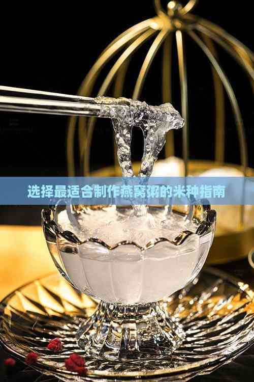 选择最适合制作燕窝粥的米种指南