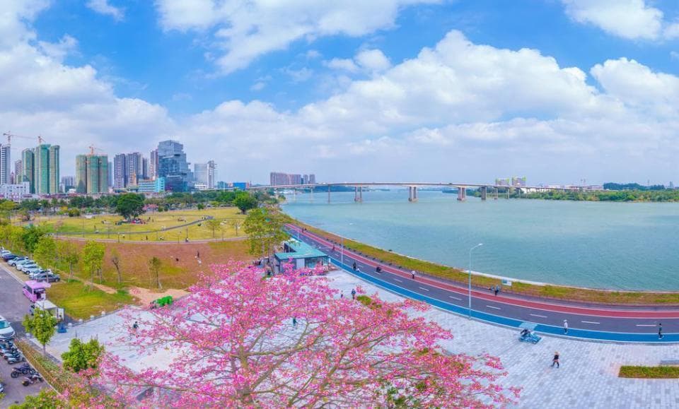 做强侨乡特色水经济，江门“碧道+”为城乡提颜值、增价值
