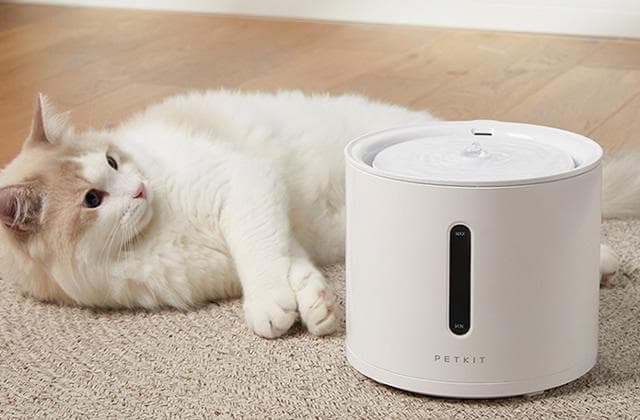 猫咪饮水机的优点和缺点 猫咪饮水机怎么选