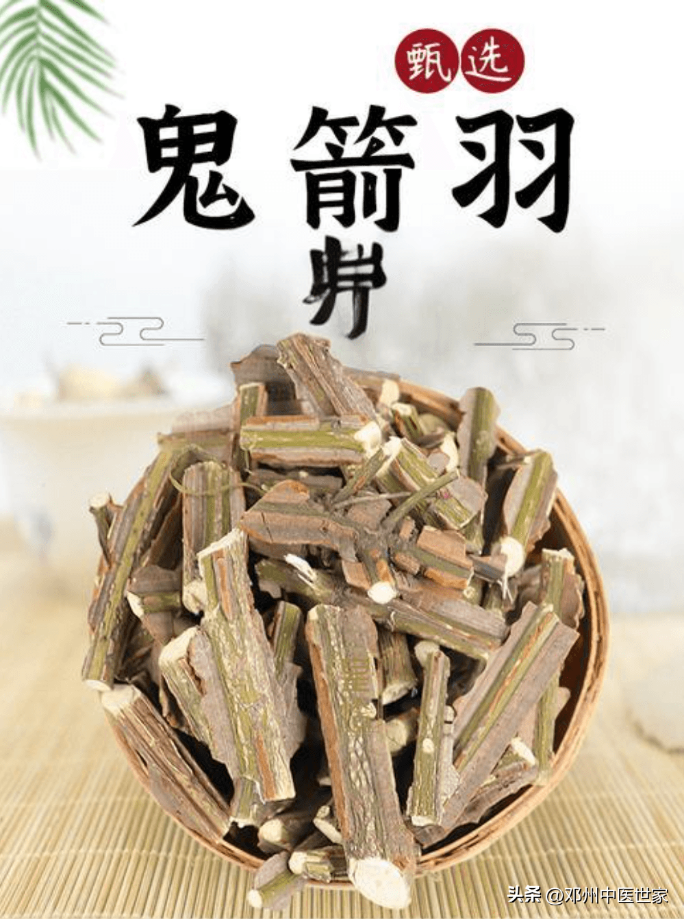 中药中的“破瘀高手”——鬼箭羽