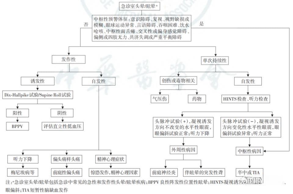 头晕/眩晕的诊断与鉴别诊断，一文详解