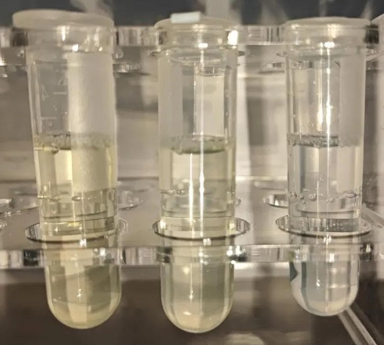 生物制药中色素的产生原因及去除方法详解