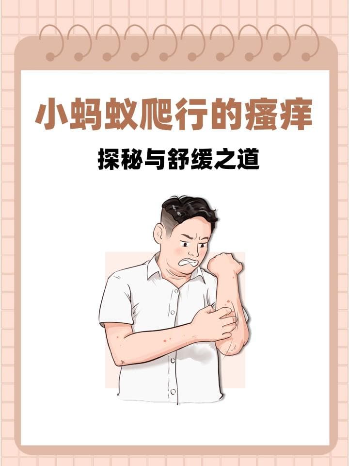 小蚂蚁爬行的瘙痒：探秘与舒缓之道