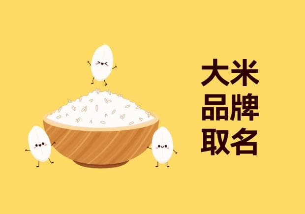 匠心独运，稻香四溢：大米品牌取名的艺术与实践