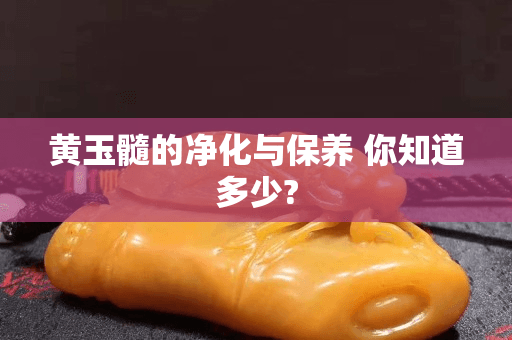 黄玉髓的净化与保养 你知道多少?