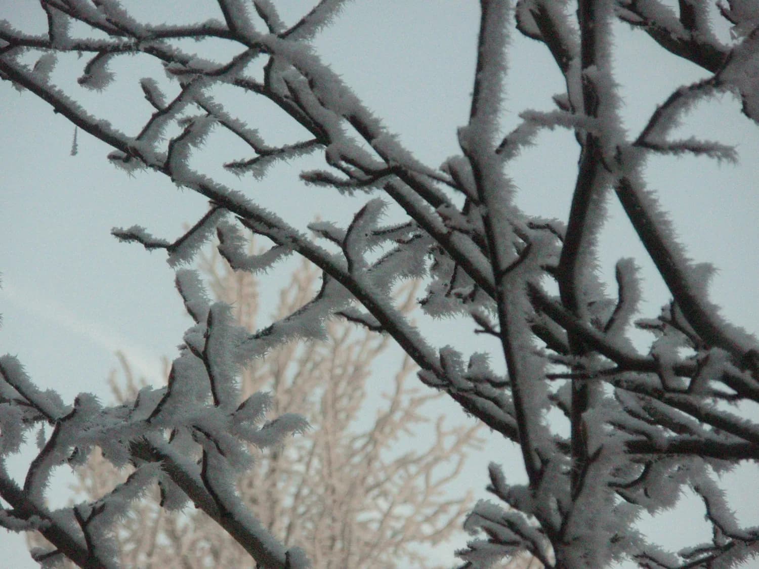 小雪节气：「雪」字的前世今生