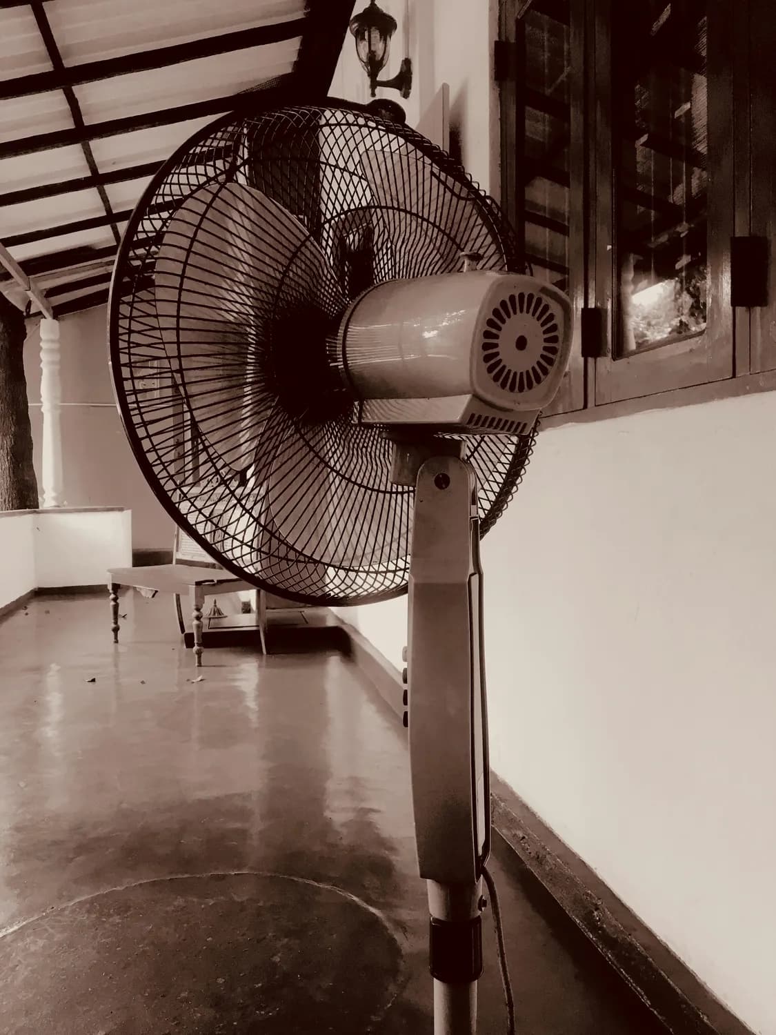 冬季老人低烧怎么办？这份实用指南请收好