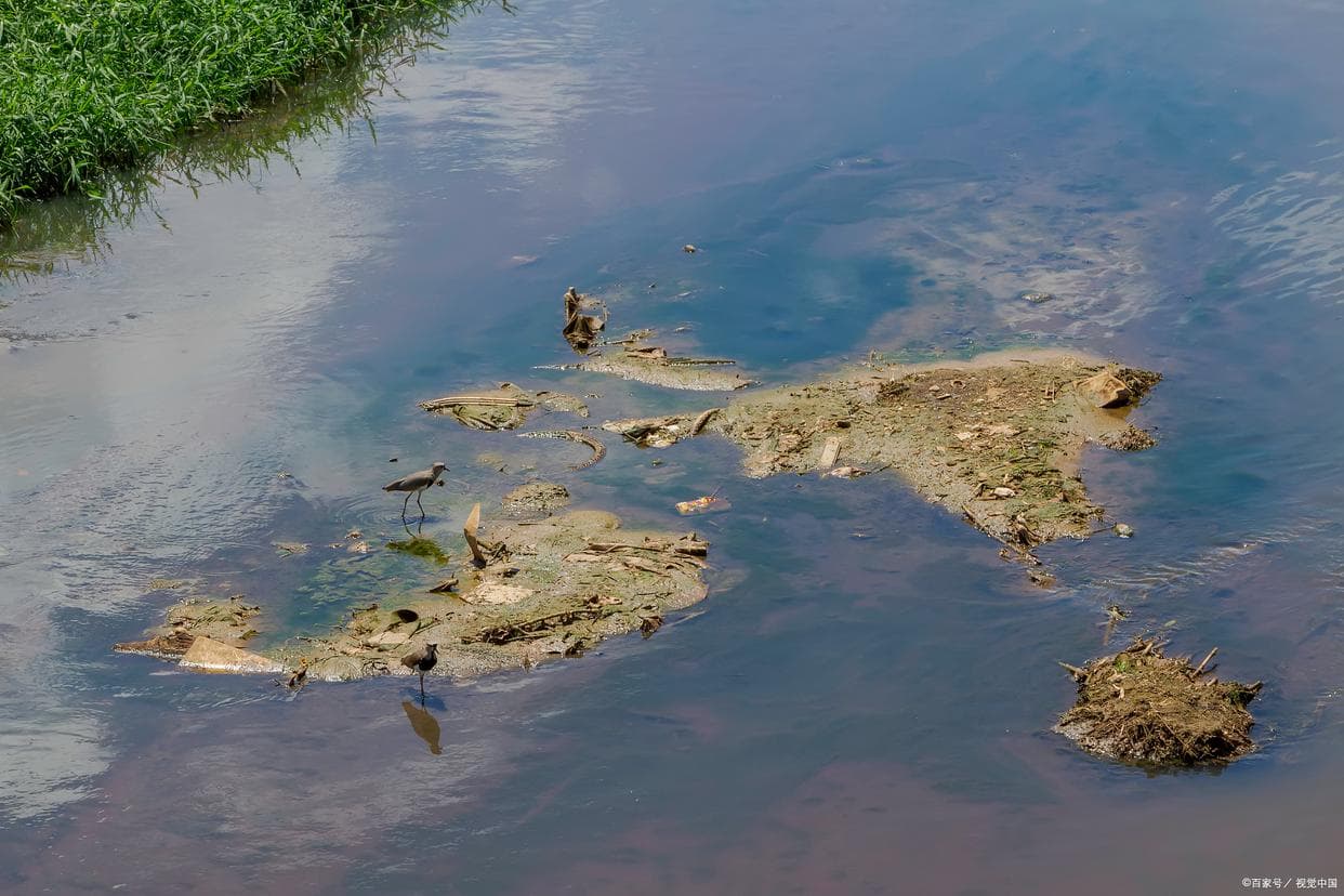 水质清澈背后的秘密：揭秘浊度测量与水质安全