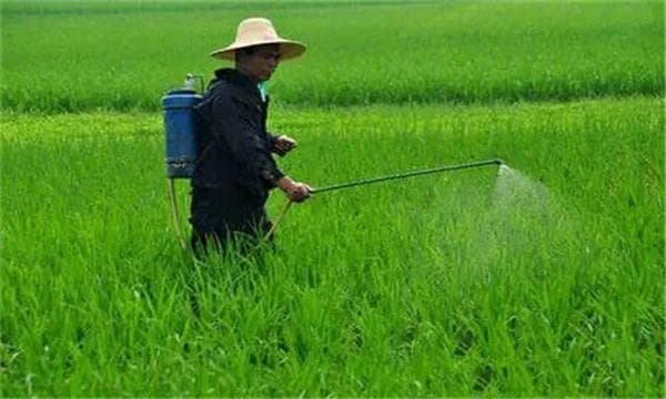 农药施用时间和技术要点详解