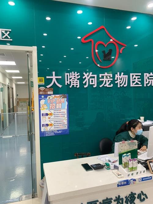宠物医疗纠纷投诉指南：从取证到维权全攻略