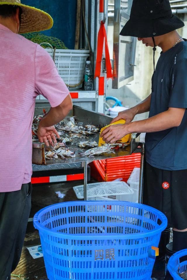 在珠海，实现“海鲜自由”！吃什么、怎么吃？这份攻略送你！
