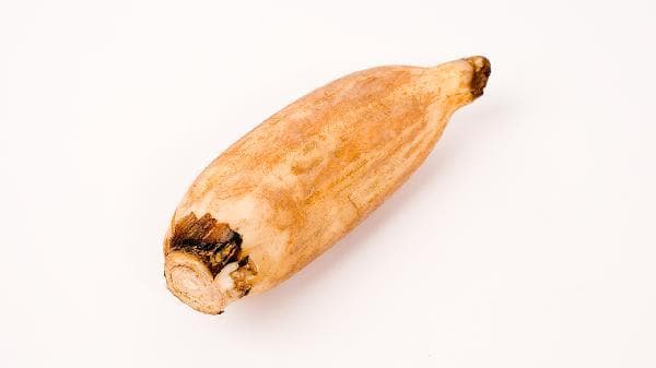 什么是牛大力