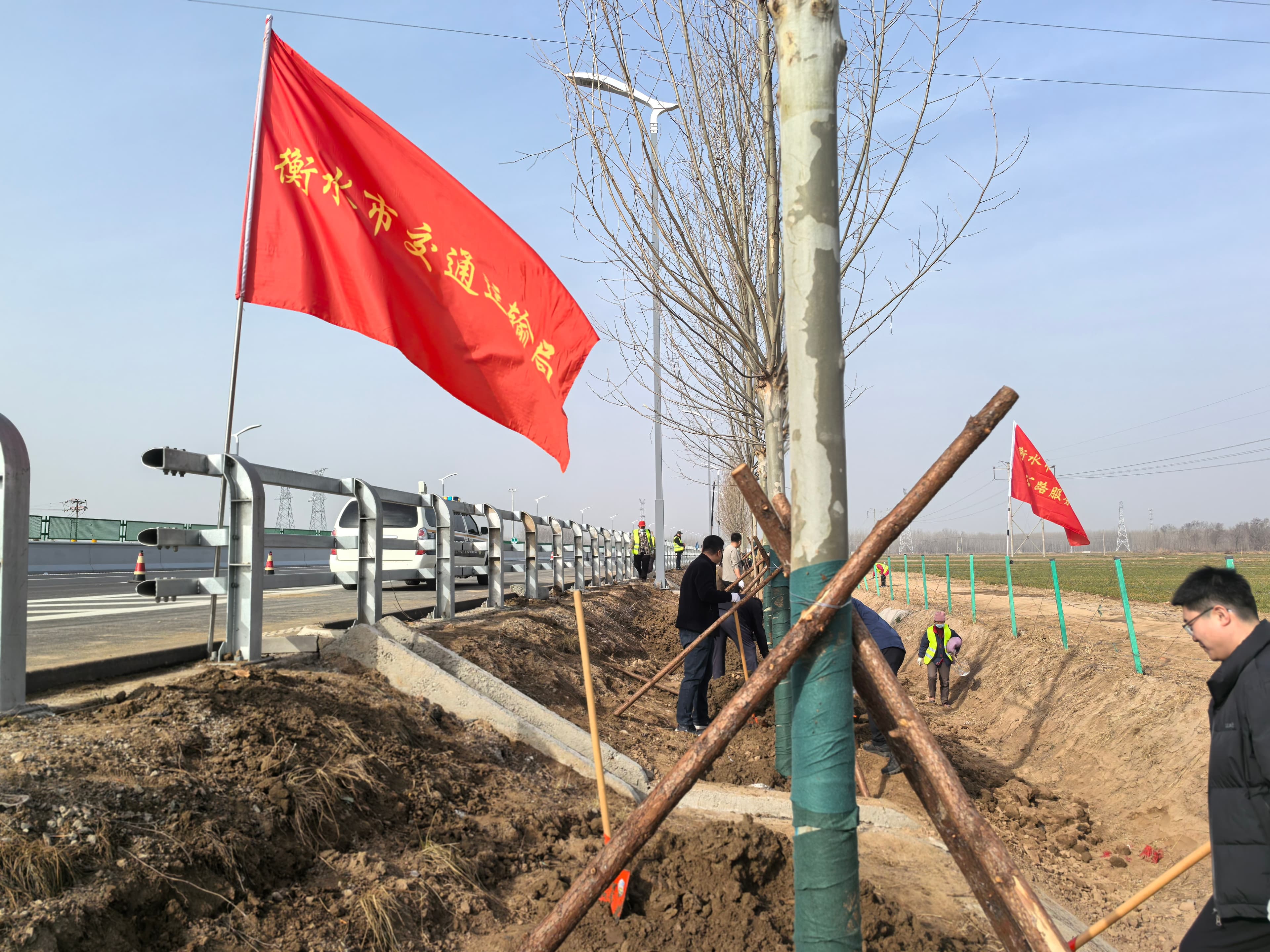 衡水市交通运输局开展义务植树活动，助力石衡高速绿化项目建设