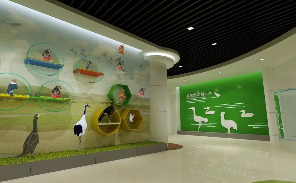 从塑化标本到VR体验，新型动物科学馆让科普更生动