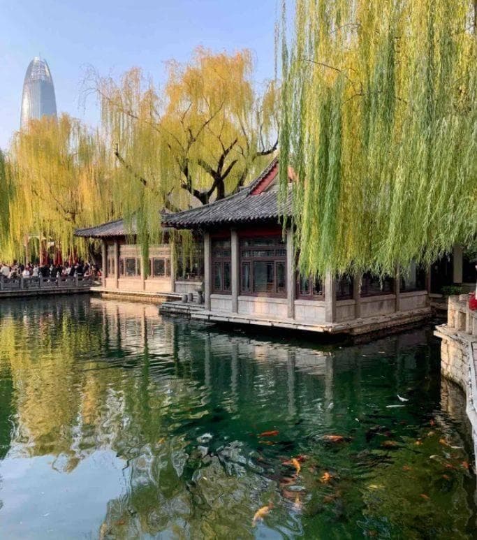 天下第一泉：山东趵突泉的泉水奇观与文化之旅