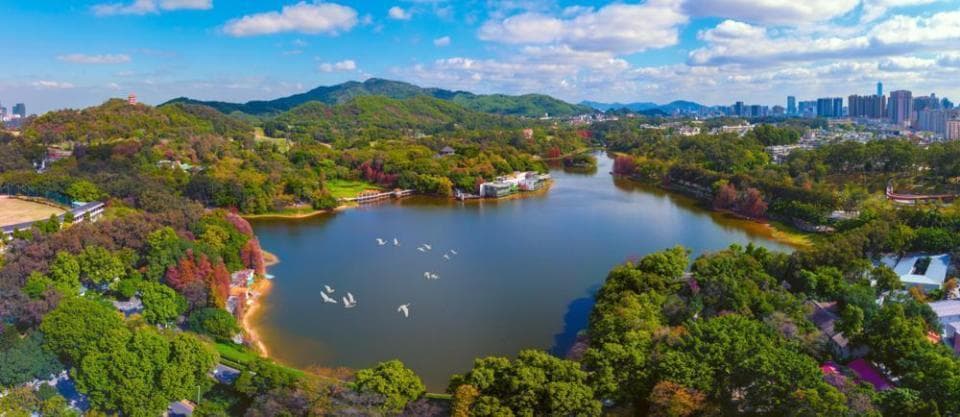 图集｜多彩麓湖、绿水为源，广州白云山麓湖焕“新颜”