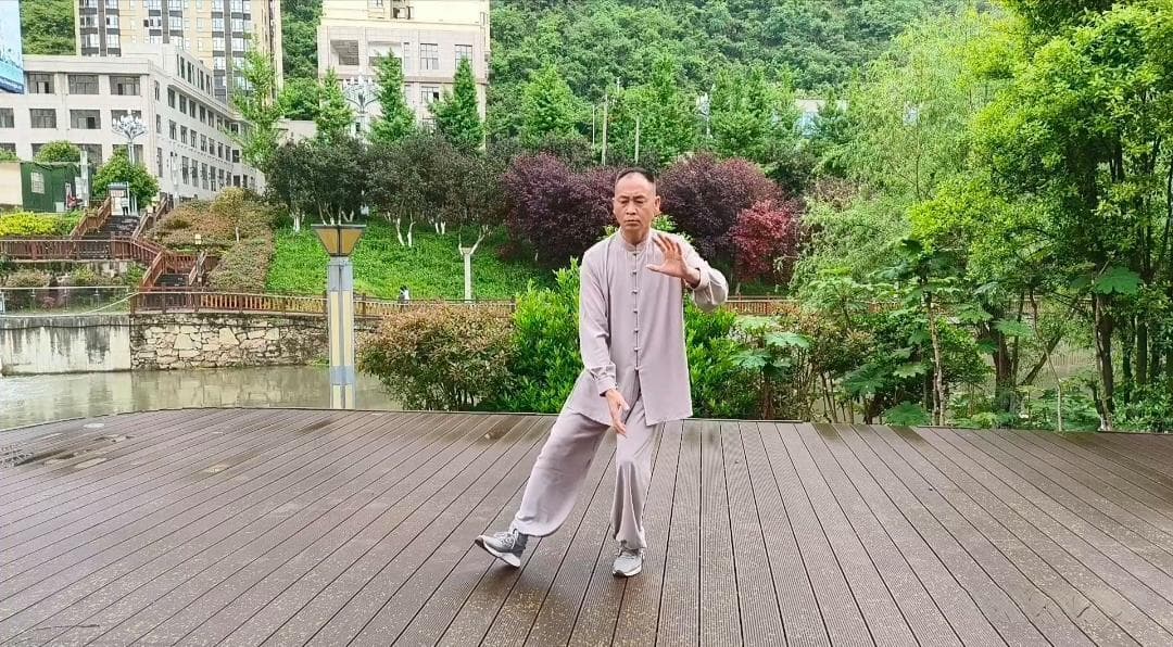 杨式太极拳之白鹤亮翅：动中寓静，合中寓开