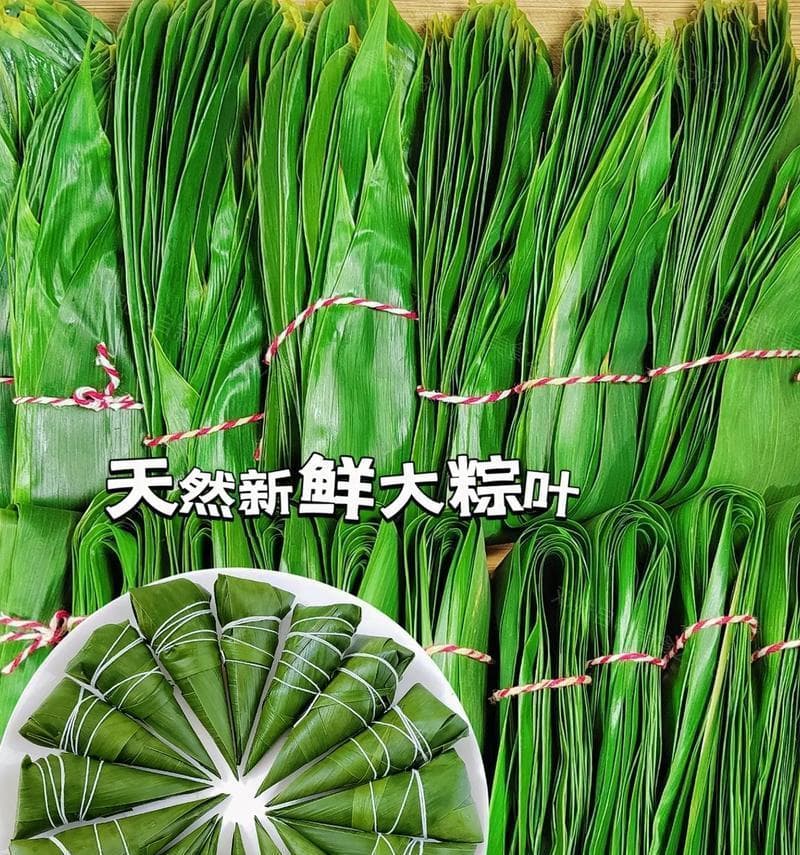 粽叶属于哪种植物？粽叶的植物学名称是什么？