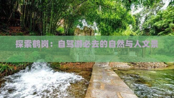 探索鹤岗：自驾游必去的自然与人文景观