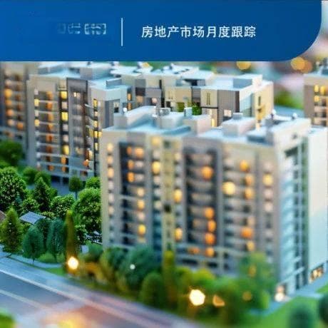法拍房成交率有望提升，助力新房市场企稳——2025年1月房地产市场跟踪