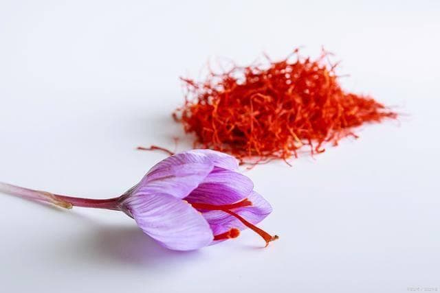 藏红花：从功效到禁忌，一文读懂正确饮用方法