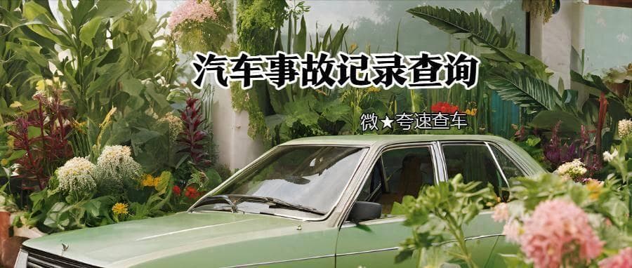 二手车事故记录查询：5种官方渠道+结构性损伤检测全攻略
