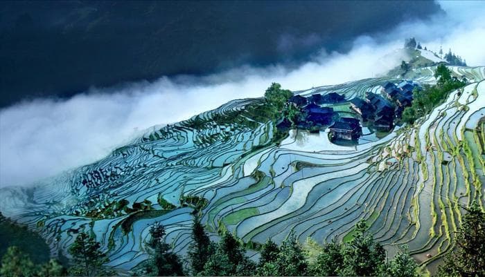 贵州美食图鉴：从黔菜说起，盘点贵州各种经典美味