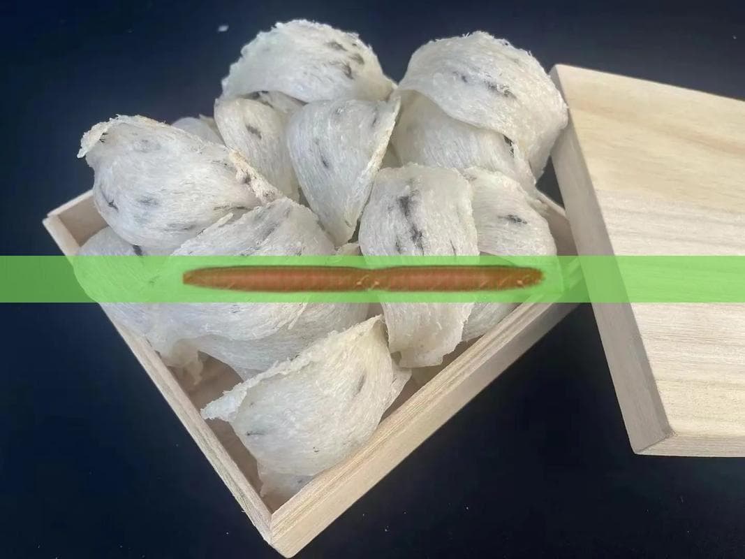 正确泡发燕窝的方法让口感更佳