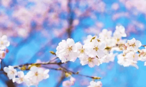八字句子唯美励志：简洁深刻的智慧之光
