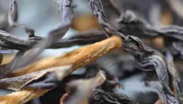 云南滇红茶的外形特征：条索细紧or粗紧，哪种更受欢迎？