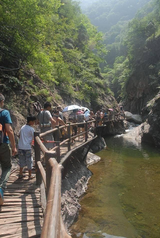 潭溪山五日深度游，探秘自然奇观，品味南国椰子香